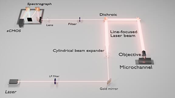 playing with lasers